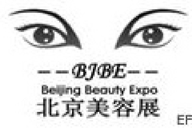 2008第13屆中國北京國際美容美發(fā)美體化妝品博覽會